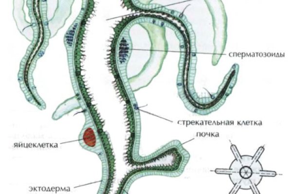 Адрес сайта кракен