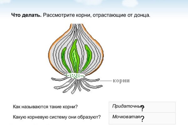 Как найти официальный сайт кракен